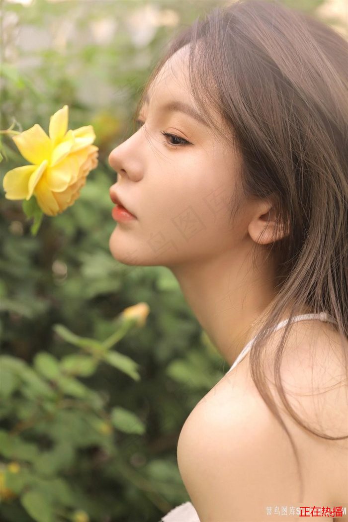 金瓶海之婬乱天在线观看